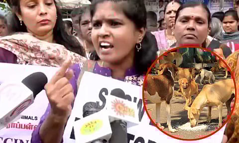 'தற்காப்புக்காகதான் தெருநாய் மனிதனை கடிக்கிறது' - திருச்சி பேரணியில் பேசிய விலங்குகள் நல ஆர்வலர்