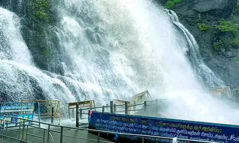 மெயினருவியில் தண்ணீர் ஆர்ப்பரித்து கொட்டுவதை காணலாம்.