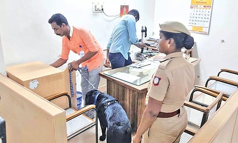 திருச்சி கலெக்டர் அலுவலகத்துக்கு வெடிகுண்டு மிரட்டல்- மோப்ப நாய் உதவியுடன் வெடிகுண்டு நிபுணர்கள் சோதனை