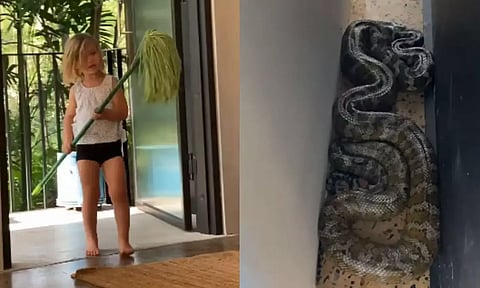 VIDEO: இளங்கன்று பயம் அறியாது... பாம்பை விரட்டிய சிறுமி