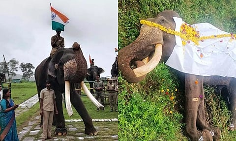 முதுமலை தெப்பக்காடு முகாமில் சுதந்திர தினத்தன்று 55-வது பிறந்தநாளை கொண்டாடிய யானை சந்தோஷ்.