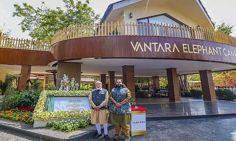 விதிகளுக்கு புறம்பாக வந்தாரா மையத்திற்கு வெளிநாட்டு விலங்குகள் கொண்டு வரப்பட்டதா?- SIT அறிக்கை தாக்கல்