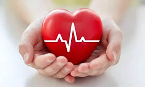 கொழுப்பைக் குறைத்து ஆரோக்கியமான இதயத்தை பாதுகாக்க சிறந்த உணவுகள்