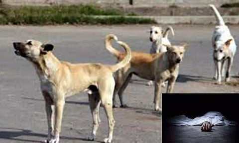 நாய் கடித்து சிறுவன் பலி