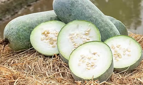 உடலில் நச்சுக்களை நீக்கும் வெள்ளைபூசணி!