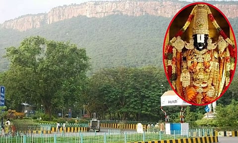 'திருப்பம்' தரும் திருப்பதி