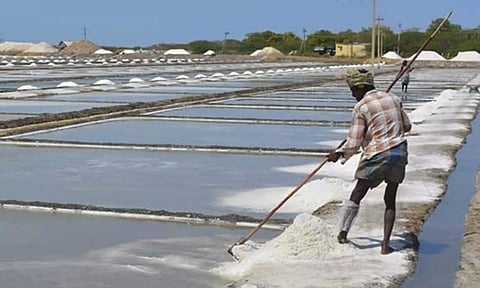 வேதாரண்யத்தில் இந்த ஆண்டு 2½ லட்சம் மெட்ரிக் டன் மட்டுமே உப்பு உற்பத்தி ஆனது