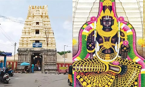 கோவில் தோற்றம் - பாண்டவதூத பெருமாள்