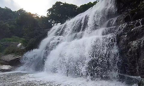 ஆண்டிபட்டி அருகில் உள்ள மேகமலை அருவியில் கனமழை காரணமாக வெள்ளப்பெருக்கு ஏற்பட்டுள்ளதை காணலாம்.