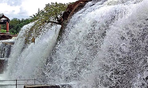 பேச்சிப்பாறை-பெருஞ்சாணி அணைகளுக்கு நீர்வரத்து அதிகரிப்பு