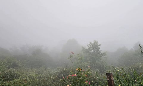 கொடைக்கானல் கோக்கர்ஸ் வாக் பகுதியில் கடும் பனி மூட்டம் காணப்பட்டது.