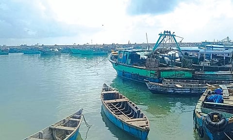 மண்டபம் தென்கடல் பகுதியில் நங்கூரமிட்டு நிறுத்தப்பட்டுள்ள படகுகளை காணலாம்.