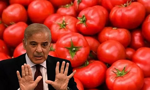 ஒரு கிலோ தக்காளி ரூ.600.. பதறும் பாகிஸ்தான் மக்கள் - ஆப்கானிஸ்தான் வைத்த ஆப்பு!