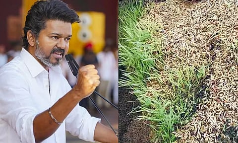 விவசாயிகளின் வயிற்றில் அடிக்கும் தி.மு.க. ஆட்சியாளர்களை வீட்டுக்கு அனுப்பப் போவது உறுதி - விஜய்