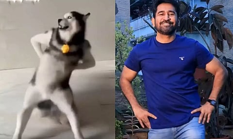 இணையத்தில் வைரலாகி வரும் Husky டேன்ஸ் டிரெண்டில் இணைந்த விஜய் ஆண்டனி