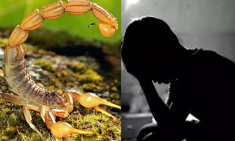 8 வயது தலித் மாணவனின் Pant-இல் தேளை விட்டு சித்ரவதை செய்த ஆசிரியர்கள்