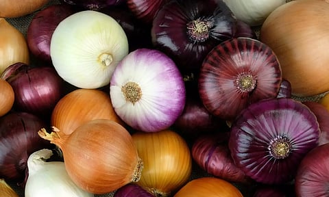 மழைக்கால எச்சரிக்கை: வெங்காயத்தில் ஒளிந்திருக்கும் ஆபத்து!