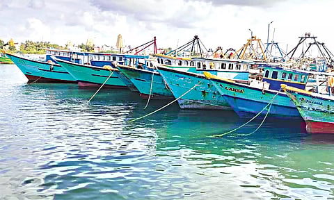 தடை காரணமாக ராமேசுவரம் துறைமுகத்தில் நங்கூரமிட்டு நிறுத்தப்பட்டுள்ள விசைப்படகுகளை காணலாம்.