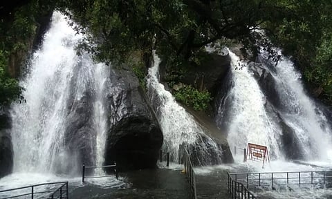 குற்றால அருவிகளில் தொடர்ந்து வெள்ளப்பெருக்கு: 5-வது நாளாக குளிக்க தடை