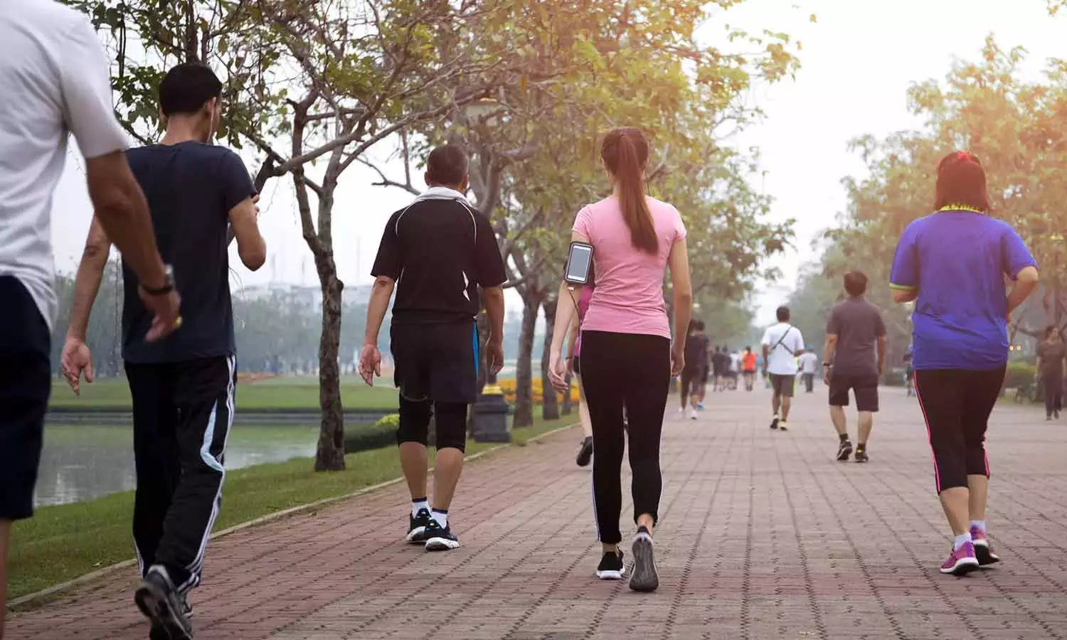 வேக நடை-மெதுவான ஓட்டம் சிறந்தது எது?