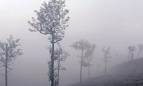 கோவை-நீலகிரியில் கடும் பனிமூட்டம்: குளிரால் பொதுமக்கள் அவதி