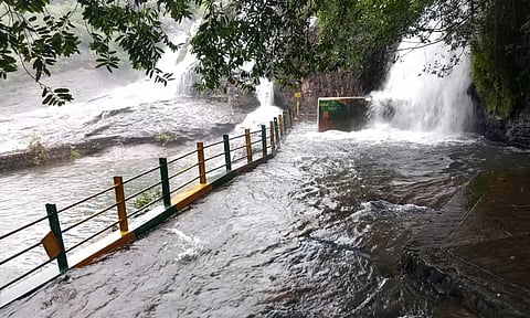 அகஸ்தியர் அருவியில் தண்ணீர் ஆர்ப்பரித்து கொட்டுவதை காணலாம்.