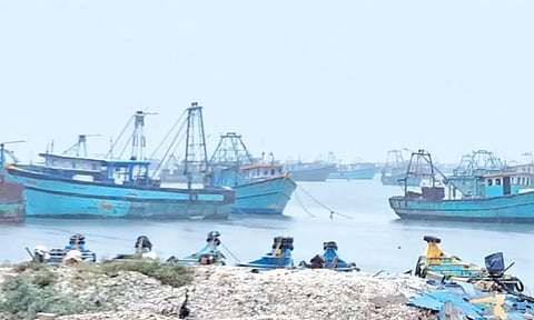 14 நாட்களுக்கு பிறகு கடலுக்கு சென்ற புதுக்கோட்டை மீனவர்கள்