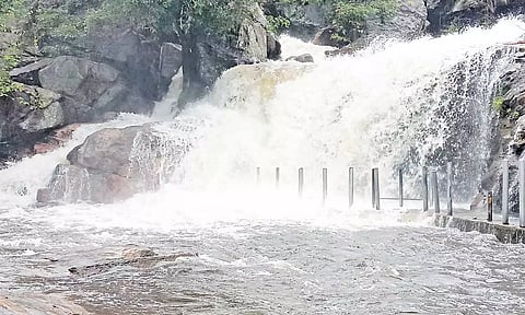 தொடர் மழையால் நீர்வரத்து அதிகரிப்பு- உடுமலை பஞ்சலிங்க அருவியில் குளிக்க தடை