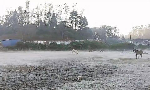 ஊட்டி, குன்னூரில் உறைபனியால் வீடுகளுக்குள் முடங்கிய பொதுமக்கள்- சுற்றுலா பயணிகள் வருகையும் குறைந்தது