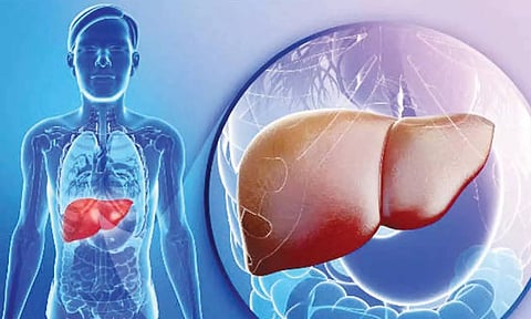 உடல் உறுப்புகளை பலப்படுத்துங்கள்!