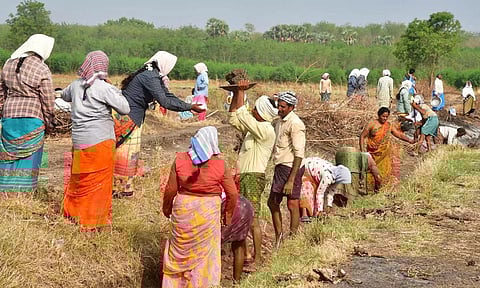 விபி-ஜி ராம் ஜி திட்டம் - தமிழகத்திற்கு என்னென்ன பாதிப்புகள் ஏற்படும்?