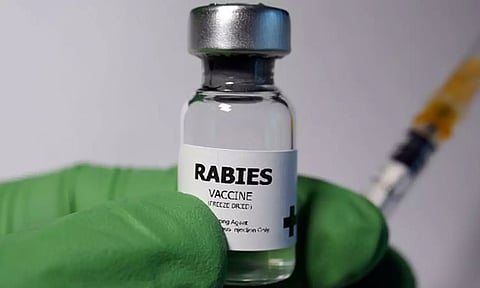 இந்தியாவில் புழங்கும் போலி வெறிநாய்க்கடி தடுப்பூசி- ஆஸ்திரேலிய சுகாதாரத்துறை எச்சரிக்கை!