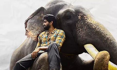 ஓ.டி.டி.யில் வெளியாகிறது 'கும்கி 2'- எப்போது தெரியுமா?