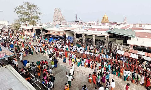 புத்தாண்டை முன்னிட்டு குவிந்த பக்தர்கள்- பழனி கோவிலில் சாமி தரிசனத்துக்கு 5 மணி நேரம் காத்திருப்பு