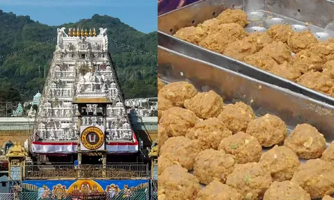 ஏழுமலையான் பக்தர்களின் அமோக ஆதரவு: 2025-ல் 13.52 கோடி லட்டுகள் விற்பனை