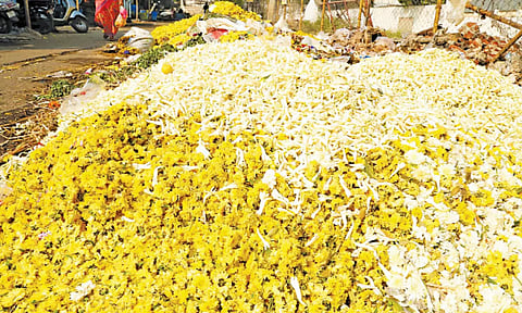 திருப்பூரில் விலை சரிவால் குப்பையில் கொட்டப்படும் பூக்கள்