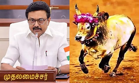 அலங்காநல்லூர் ஜல்லிக்கட்டு போட்டி: முதலமைச்சர் மு.க.ஸ்டாலின் 17-ந்தேதி தொடங்கி வைக்கிறார்