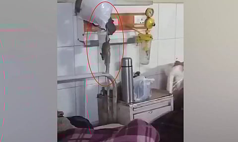 உ.பி. மருத்துவமனையில் எலிகள் கள ஆய்வு... ஆக்சிஜன் குழாய்கள் மேல்ஏறி கொண்டாட்டம் - காங்கிரஸ் விமர்சனம்!