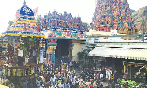 திருப்பரங்குன்றத்தில் தெப்பத்திருவிழா தேரோட்டம்- அரோகரா கோஷத்துடன் பக்தர்கள் இழுத்து தரிசனம்