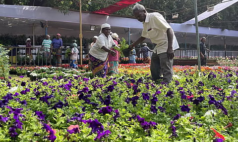 புதுச்சேரி தாவரவியல் பூங்காவில் மலர் கண்காட்சி 3 நாட்கள் நடக்கிறது