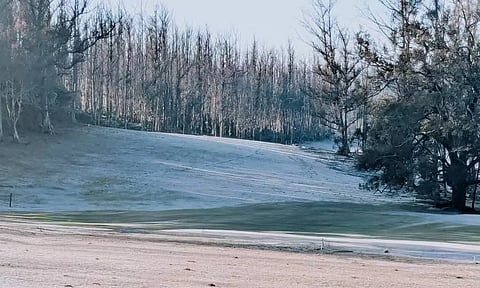 ஊட்டியில் கடும் உறைபனி தாக்கம் நீடிப்பு - குளிரால் பொதுமக்கள் அவதி