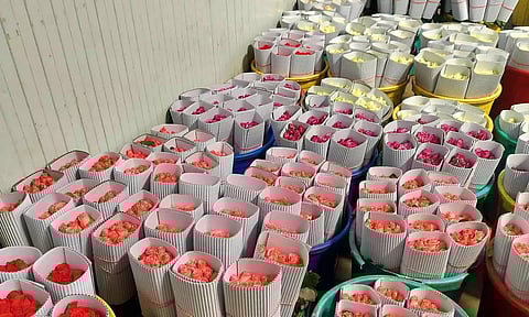 காதலர் தினத்தையொட்டி ரோஜா மலர்கள் விற்பனை அமோகம்! ஒரு பூவின் விலை... இவ்வளவா?