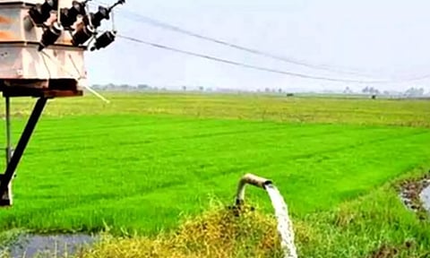 புதிதாக 2 லட்சம் விவசாயிகளின் நிலங்களுக்கு இலவச மின்சார இணைப்பு வழங்கப்பட்டுள்ளது - எம்.ஆர்.கே. பன்னீர்செல்வம்