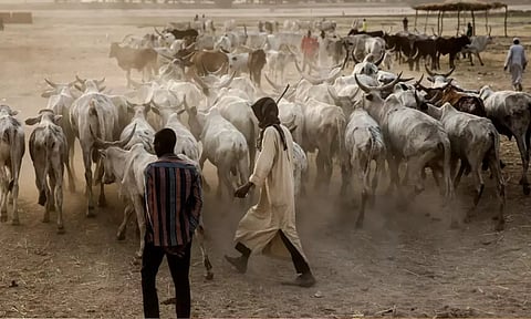 நைஜீரியா: கால்நடைகளுக்காக கிராம மக்கள் 33 பேரை சுட்டுக் கொன்ற பயங்கரவாதிகள்