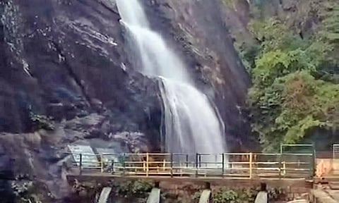 பழைய குற்றால அருவியில் தண்ணீர் மிதமாக விழும் காட்சி.