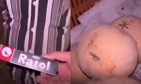 பழங்களின் மேல் எலி மருந்தை தடவிய வியாபாரி - வீடியோ வெளியாகி பரபரப்பு