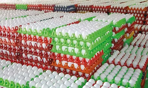 முட்டை இறக்குமதிக்கு தடைவிதித்த சவுதி அரேபியா: காரணம் தெரியுமா?