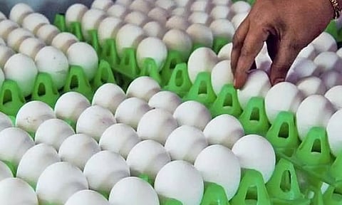 முட்டைகள் தேக்கத்தால் 12 நாட்களில் 110 காசுகள் சரிவு