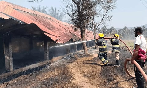 ஒடுகத்தூர் அருகே காட்டு தீ பரவி ரூ. 12 லட்சம் மதிப்பிலான கோழி பண்ணை எரிந்து சாம்பலானது