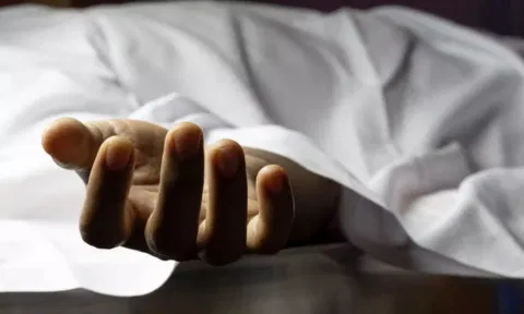 வாடிப்பட்டி அருகே மின்சாரம் தாக்கி கல்லூரி மாணவன் உள்பட 2 பேர் பலி